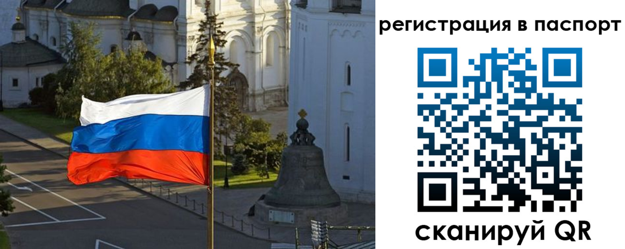 где прописаться в Железногорске